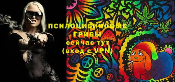 ГАЛЛЮЦИНОГЕННЫЕ ГРИБЫ Алзамай
