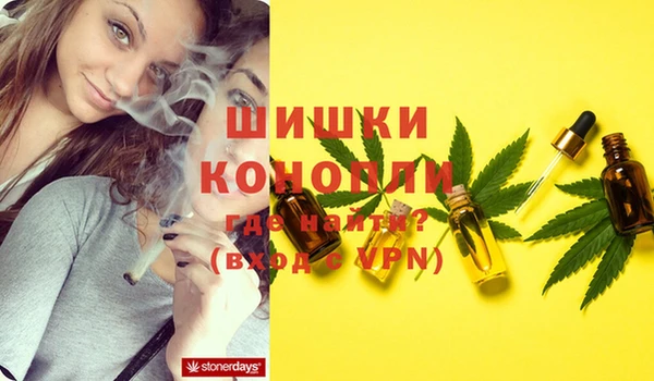 ГАЛЛЮЦИНОГЕННЫЕ ГРИБЫ Алзамай
