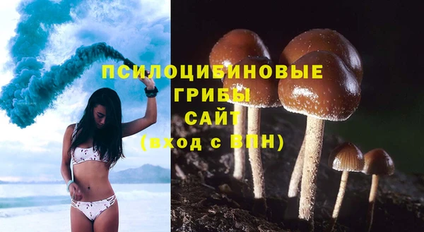 ГАЛЛЮЦИНОГЕННЫЕ ГРИБЫ Алзамай