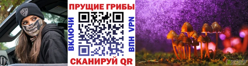 Псилоцибиновые грибы мицелий  Нелидово 